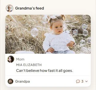 Keeplii private family feed